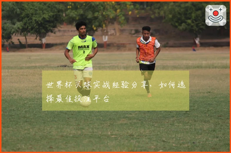 世界杯买球实战经验分享，如何选择最佳投注平台