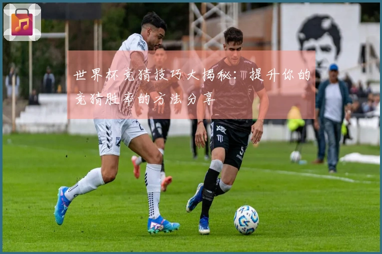 世界杯竞猜技巧大揭秘：提升你的竞猜胜率的方法分享