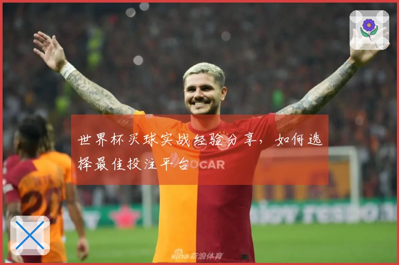 世界杯买球实战经验分享，如何选择最佳投注平台