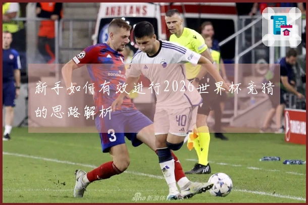 新手如何有效进行2026世界杯竞猜的思路解析