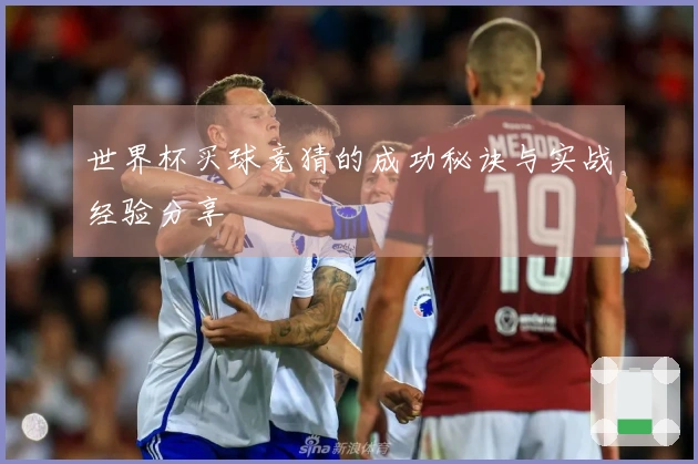 世界杯买球竞猜的成功秘诀与实战经验分享