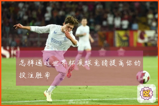 怎样通过世界杯滚球竞猜提高你的投注胜率