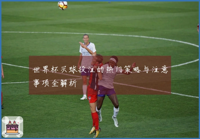 世界杯买球投注的热门策略与注意事项全解析