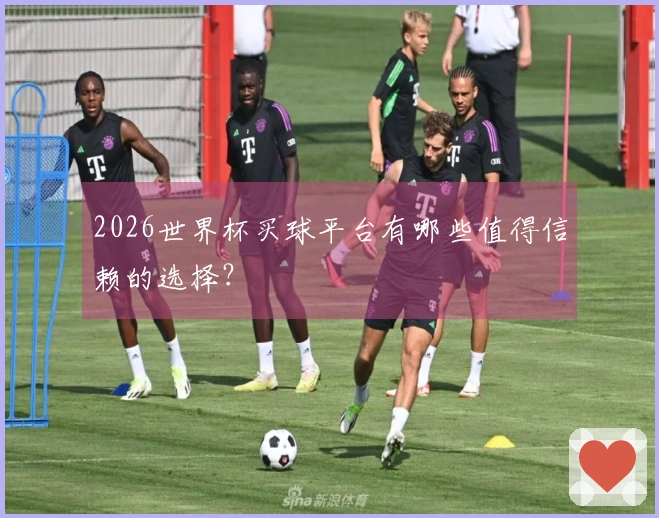 2026世界杯买球平台有哪些值得信赖的选择？