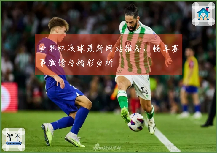 世界杯滚球最新网站推荐，畅享赛事激情与精彩分析