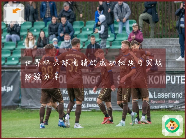 世界杯买球竞猜的成功秘诀与实战经验分享
