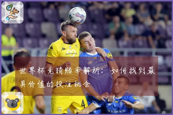世界杯竞猜赔率解析：如何找到最具价值的投注机会