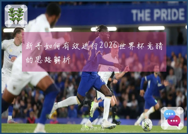 新手如何有效进行2026世界杯竞猜的思路解析